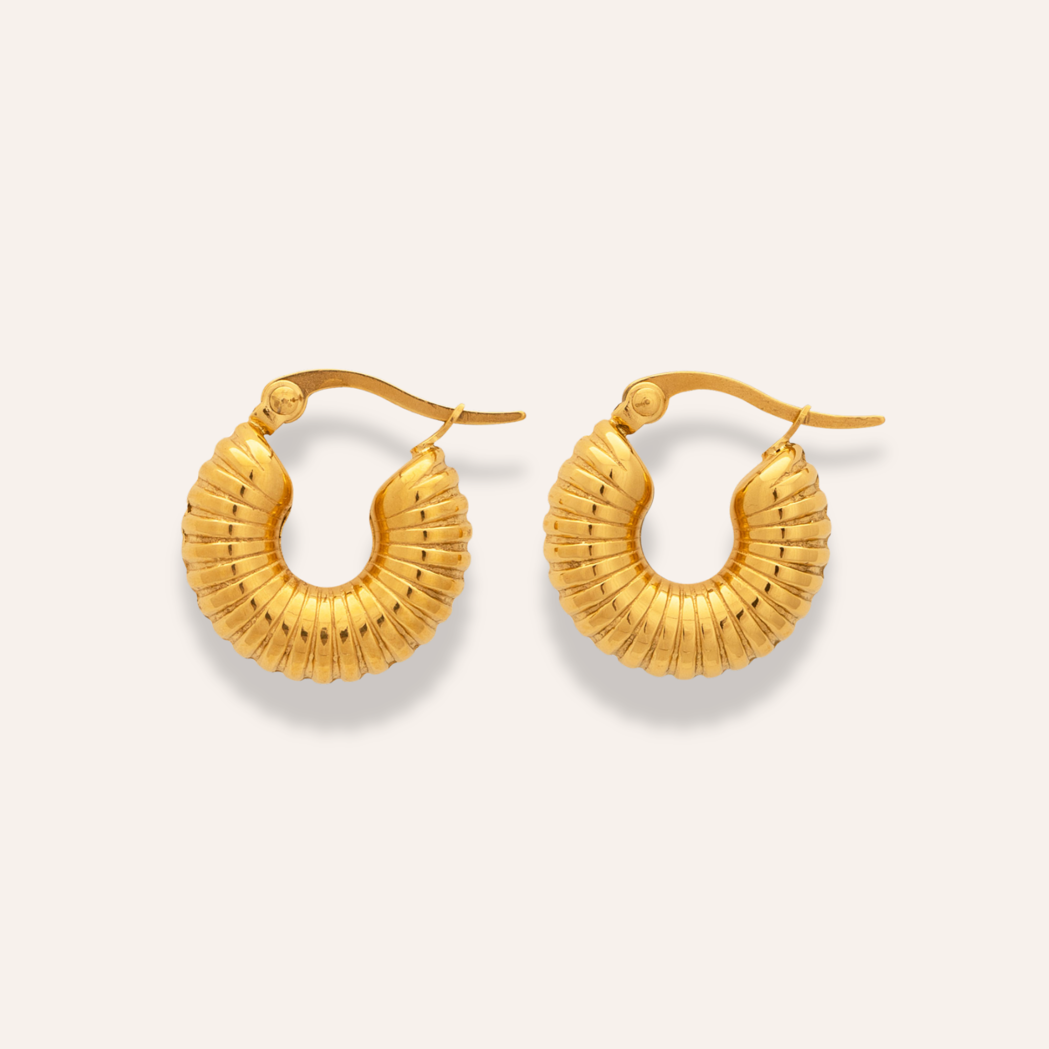Sea shell örhängen guld