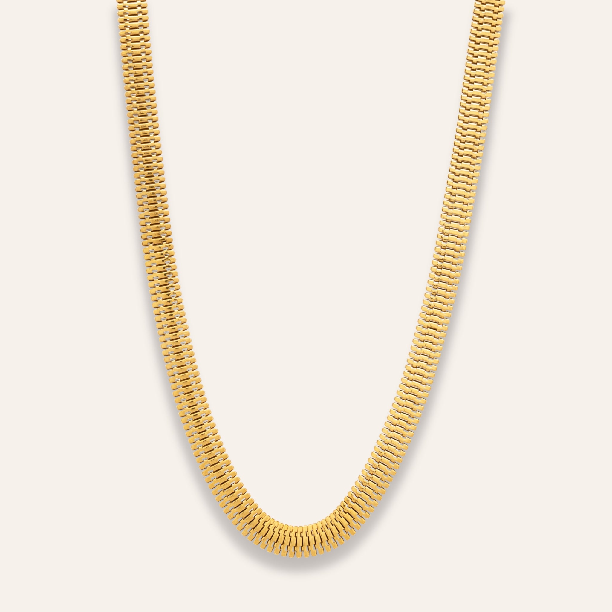 Halsband steel chunky link